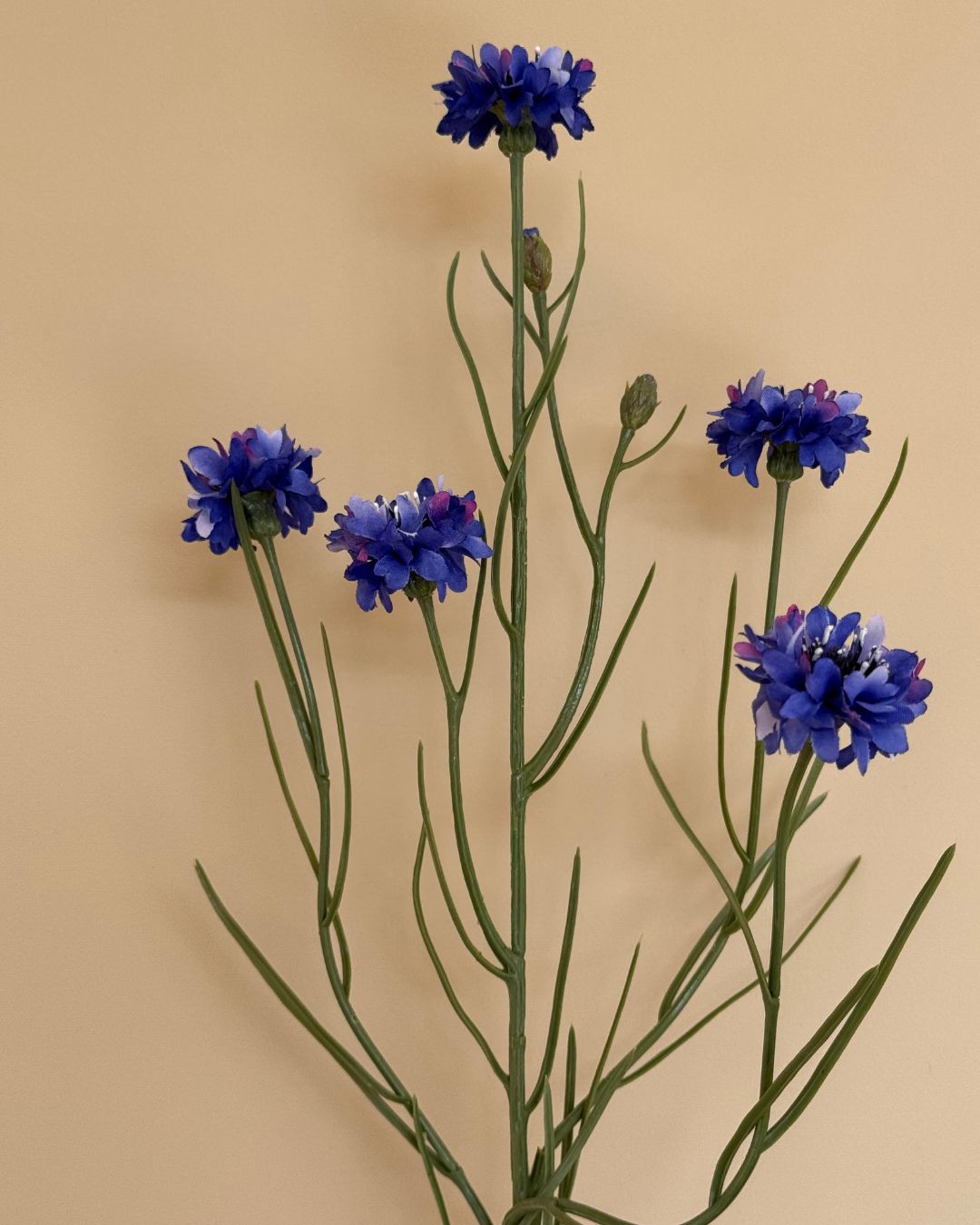 Kornblomst Blå - 65 cm