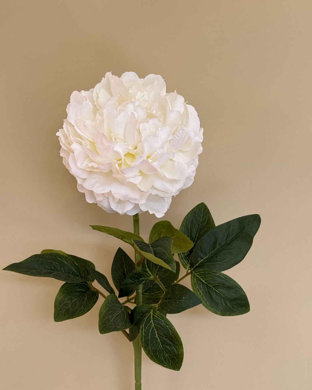 Peony Hvid - 70 cm