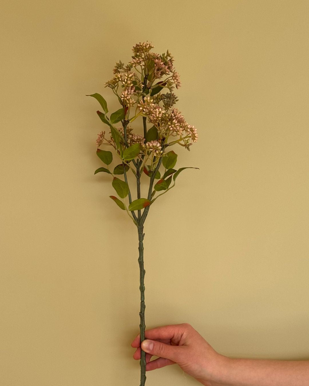 Stor Kirsebærgren lyserød - 58 cm