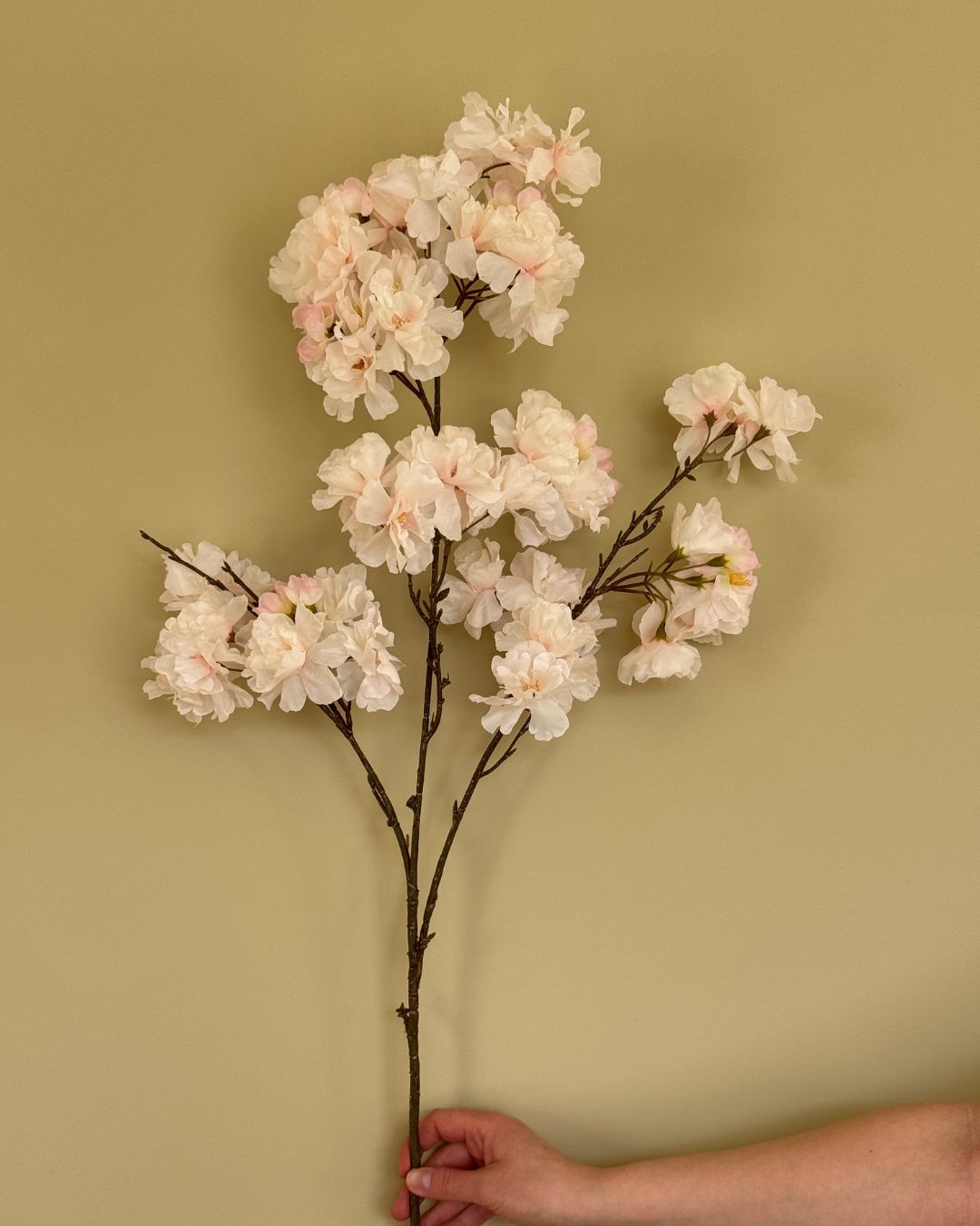 Blossom - Hvid/Lyserød - 109 cm