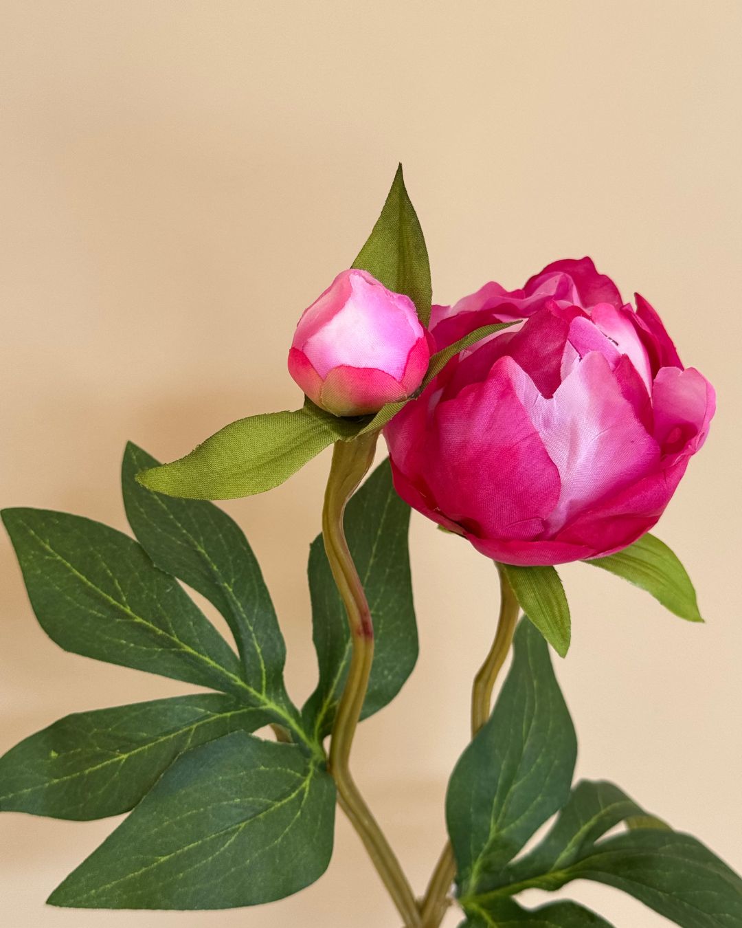 Peony m. Knob Pink - 45 cm