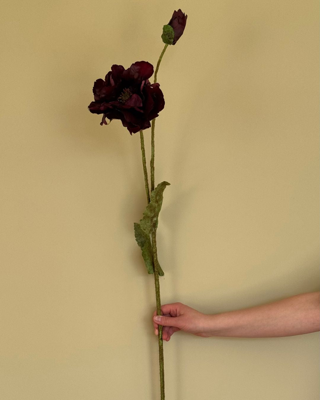 Poppy - Burgundy - 109 cm