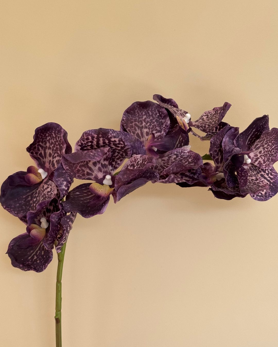 Orkide Lilla - 85 cm