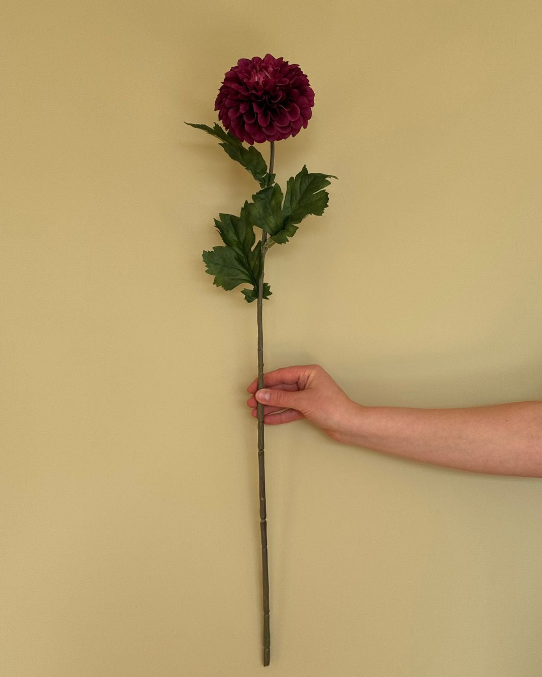 Dahlia Mørk Lilla - 75 cm