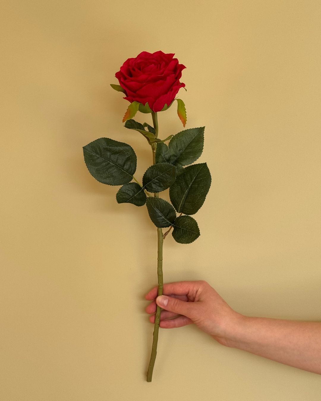 Rose Rød 70 - cm