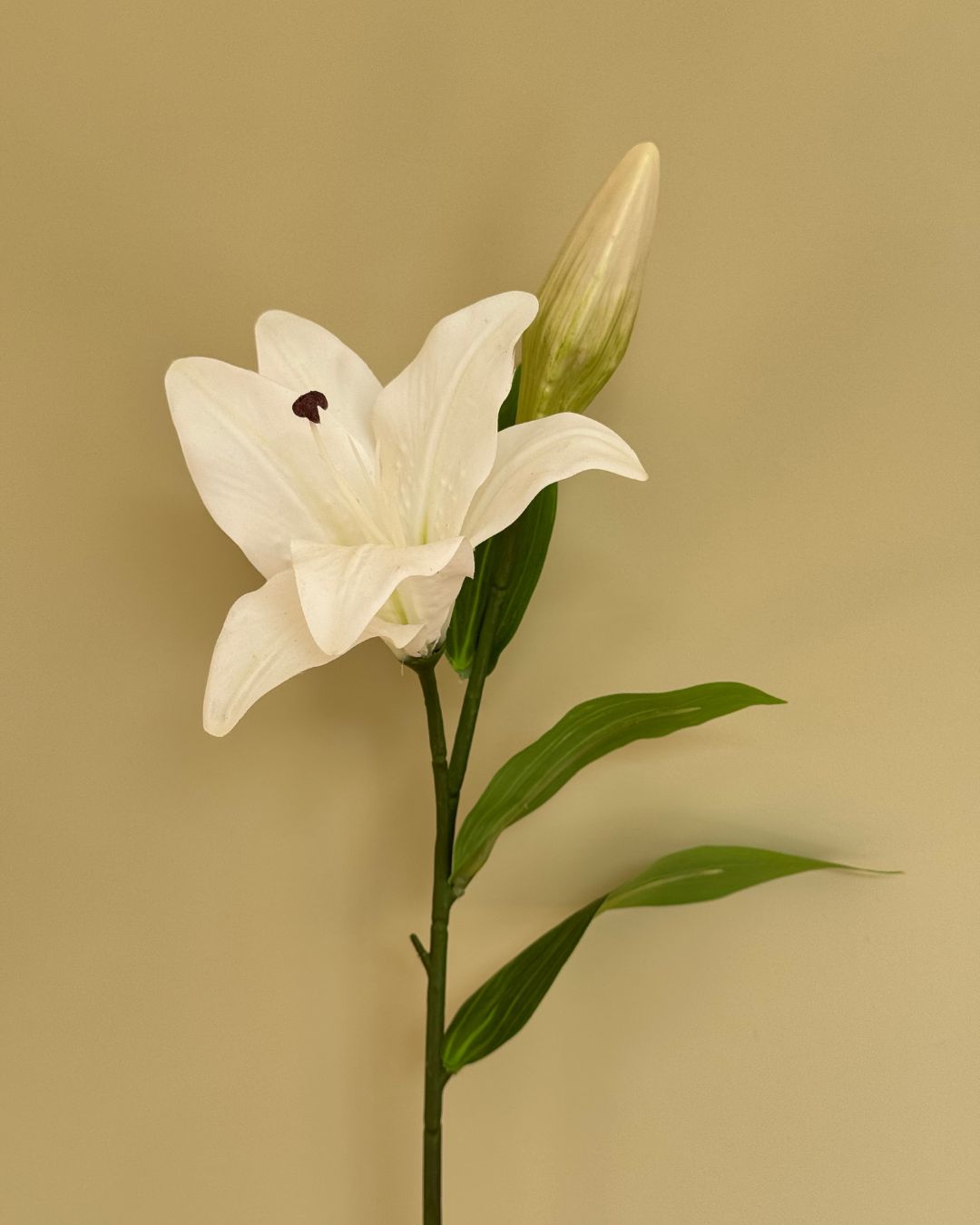 Lilje Hvid - 50 cm
