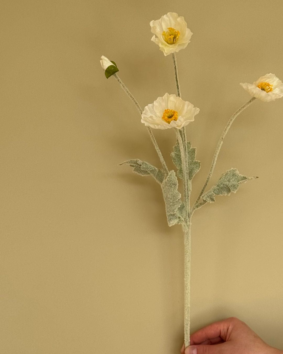 Valmue Hvid - 60 cm