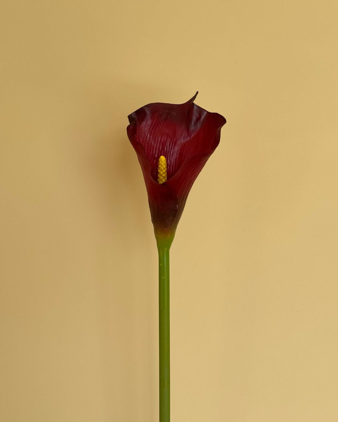 Calla Burgundy - 73 cm