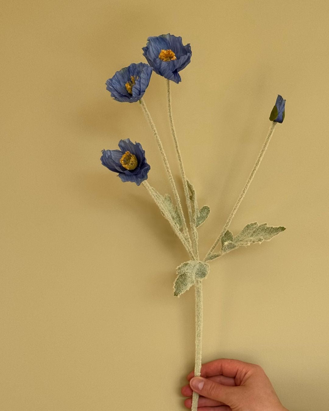Valmue Blå - 60 cm