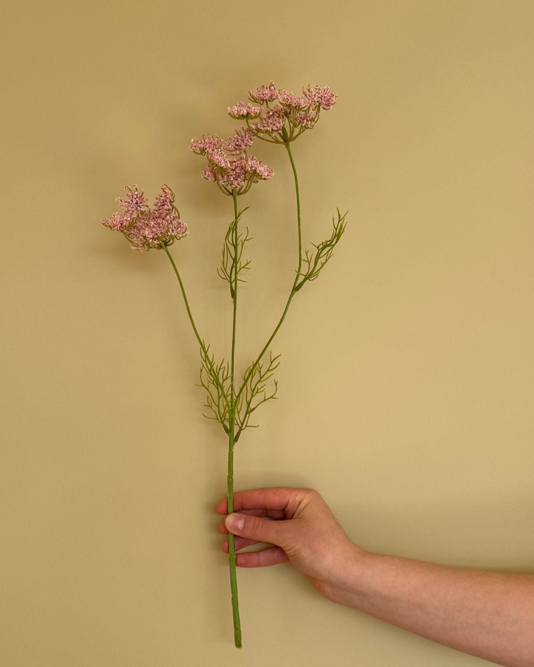 Skærmblomst Lyserød - 50 cm