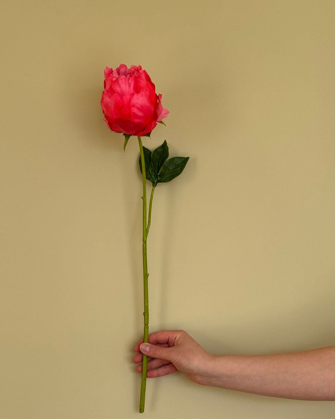 Peony - Pink - 58 cm