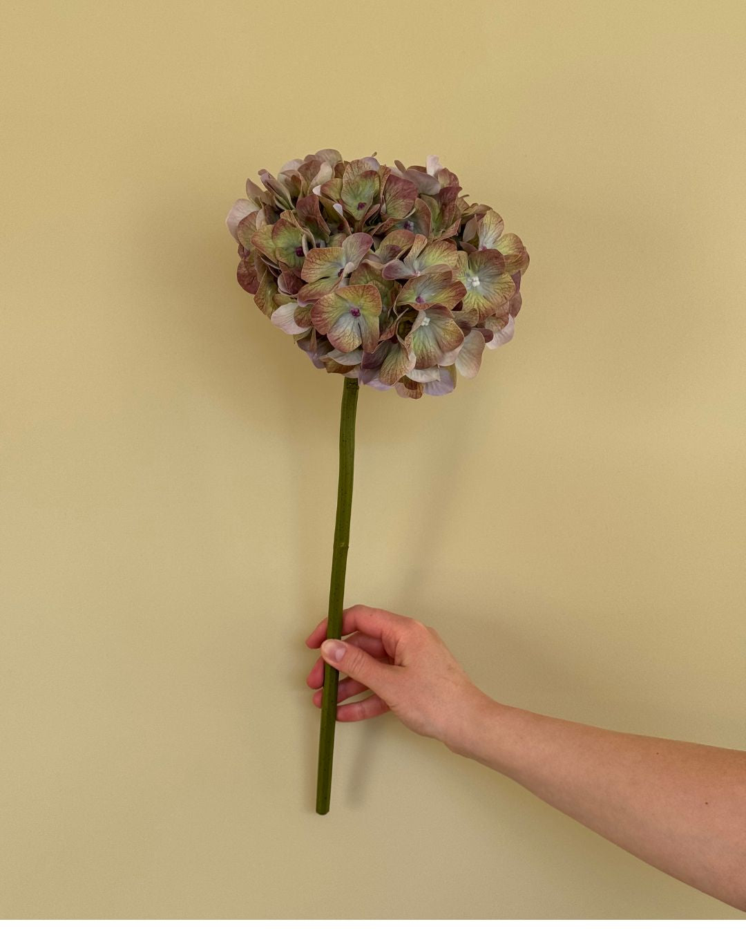 Hortensia - Grøn/Lilla - 50 cm
