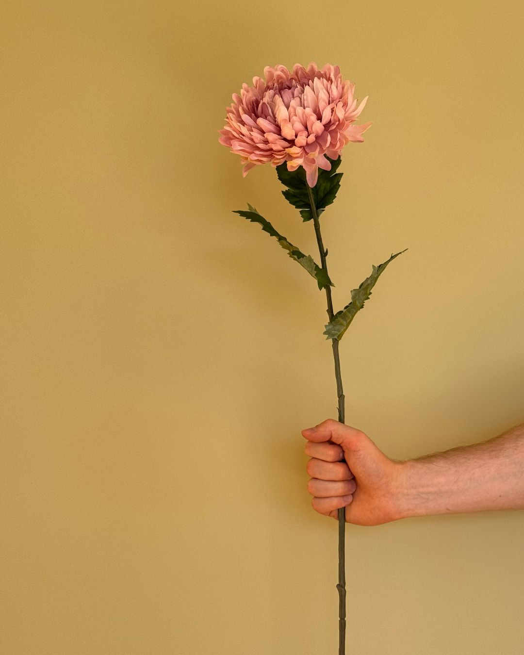 Lyserød Chrysanthemum - 75 cm