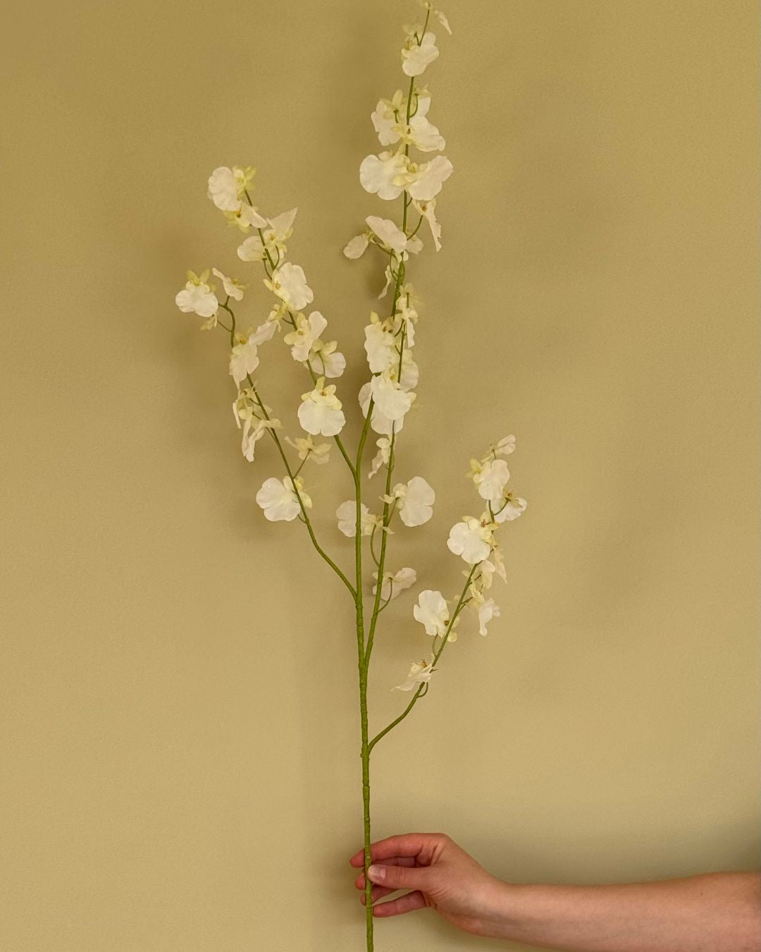 Oncidium - Hvid - 114cm