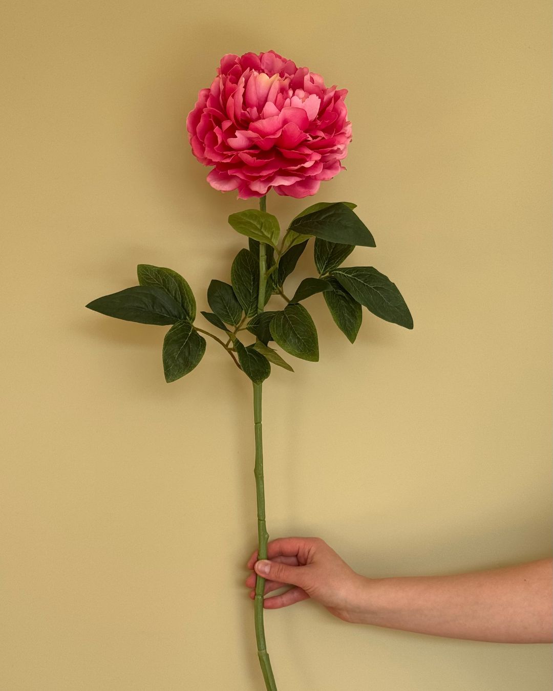 Peony Pink - 70 cm