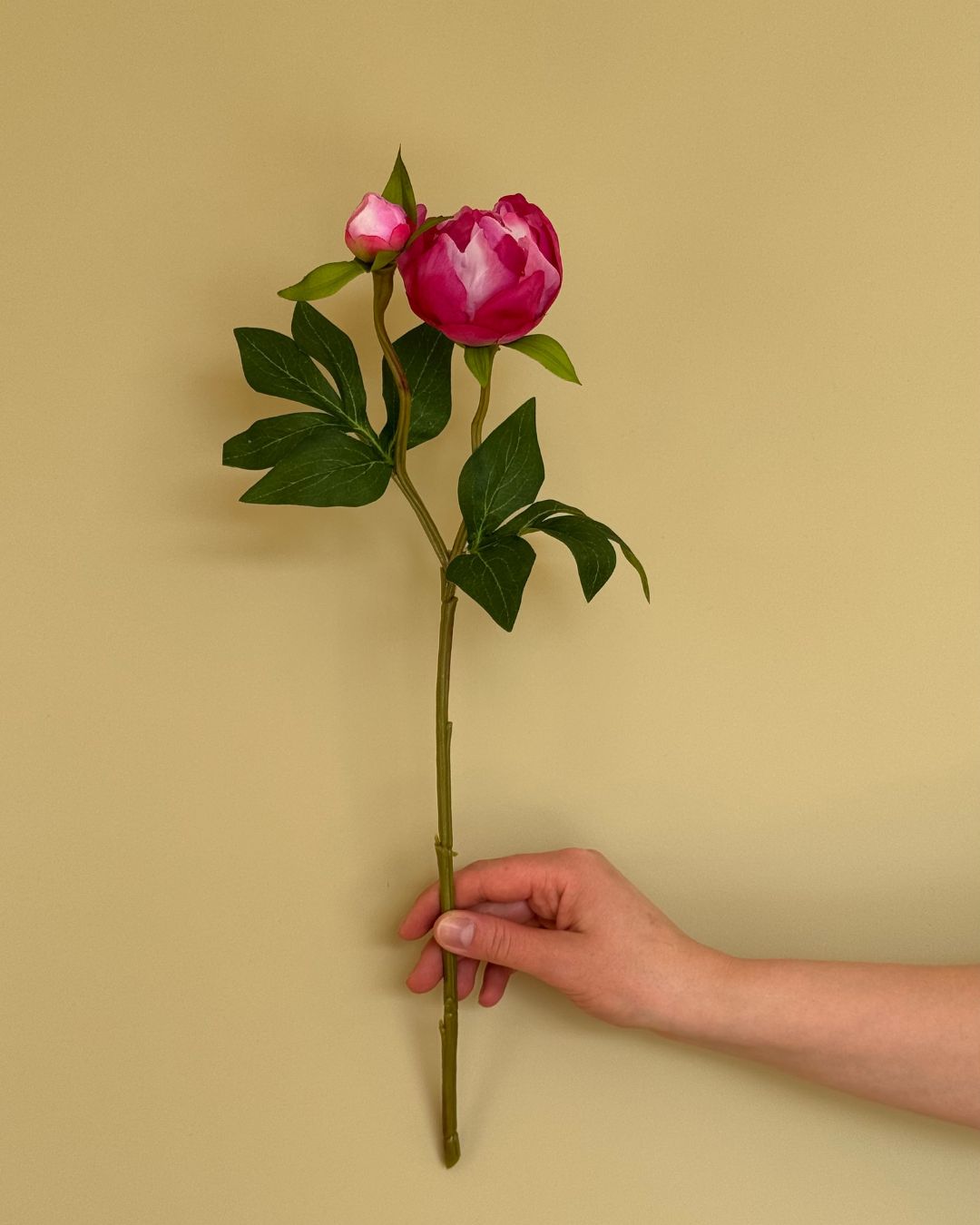 Peony m. Knob Pink - 45 cm