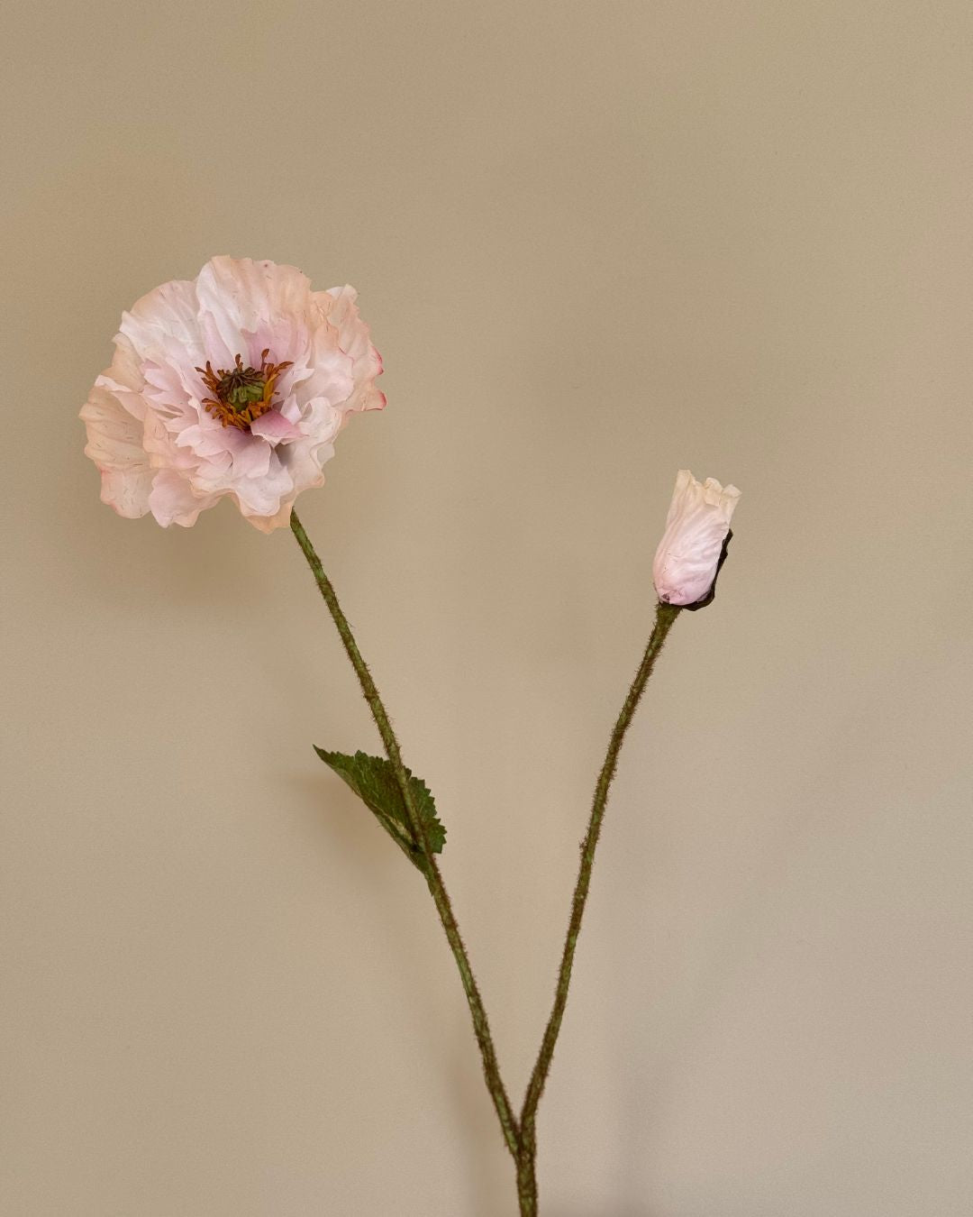 Poppy - Creme/Lyserød - 80 cm