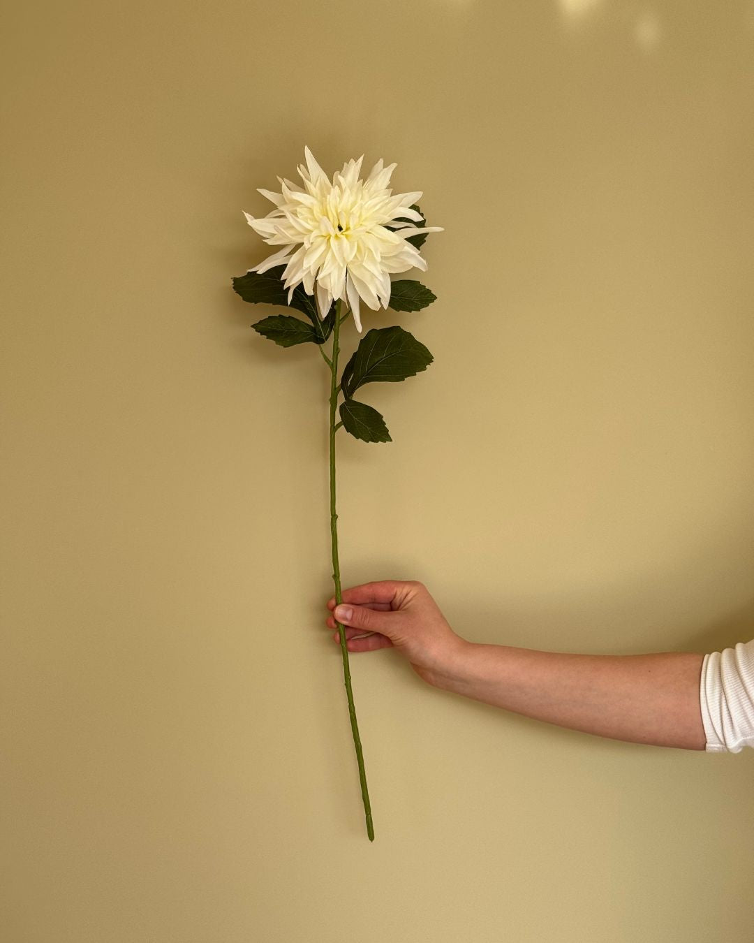 Dahlia Hvid - 65 cm