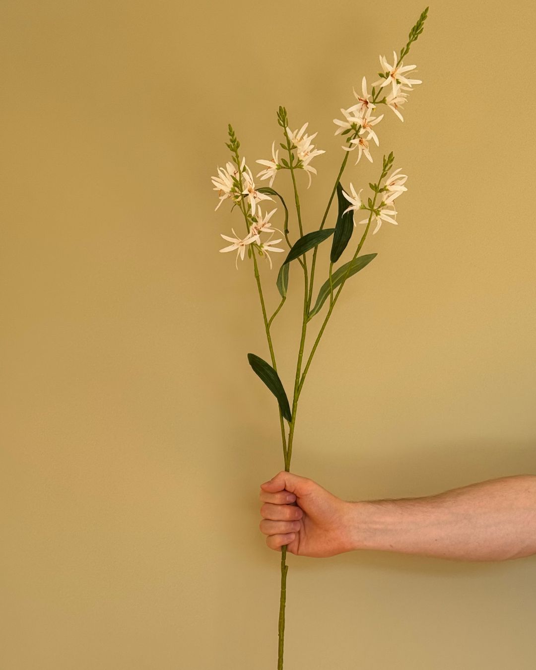 Prærielije Hvid - 100 cm