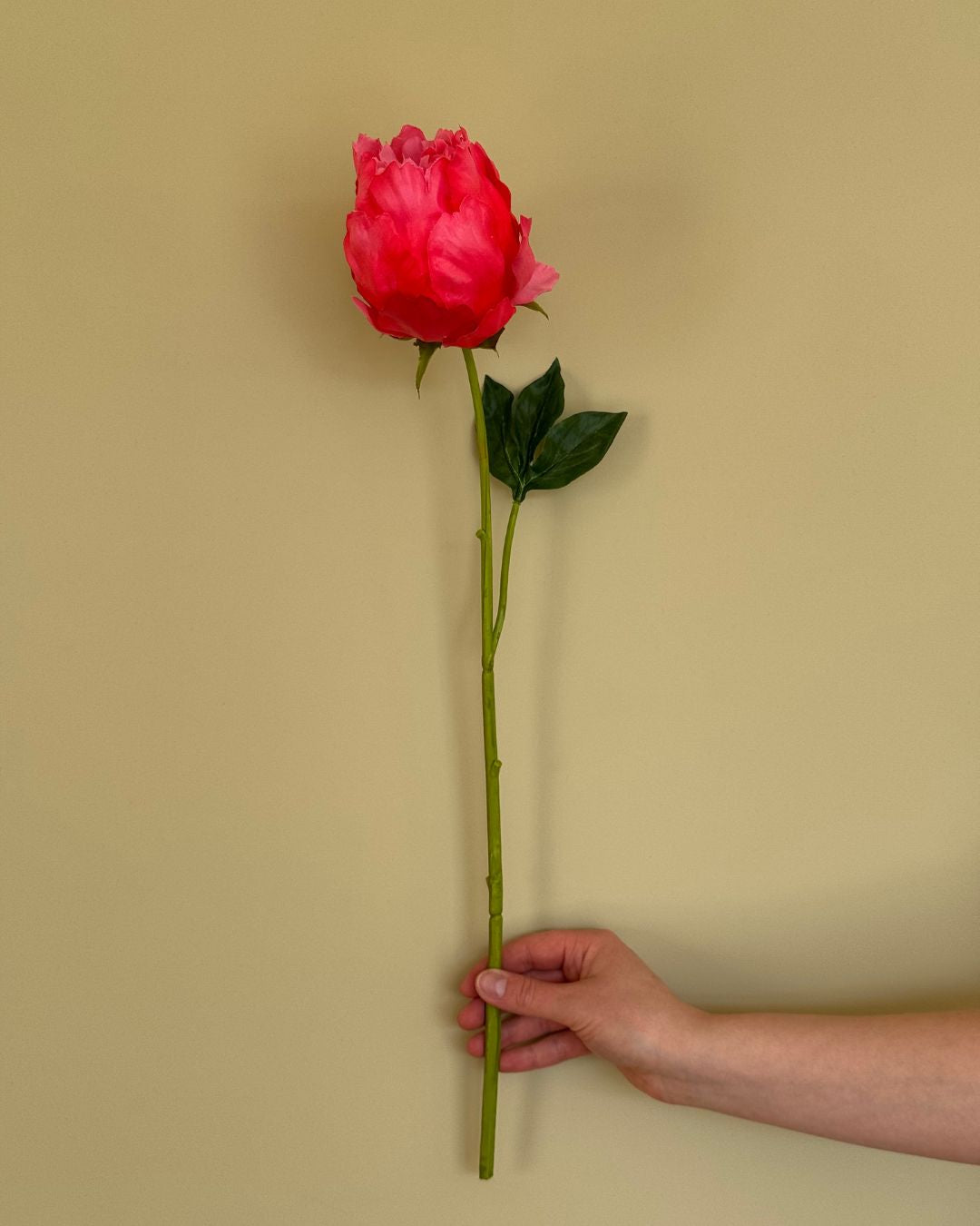 Peony - Pink - 58 cm