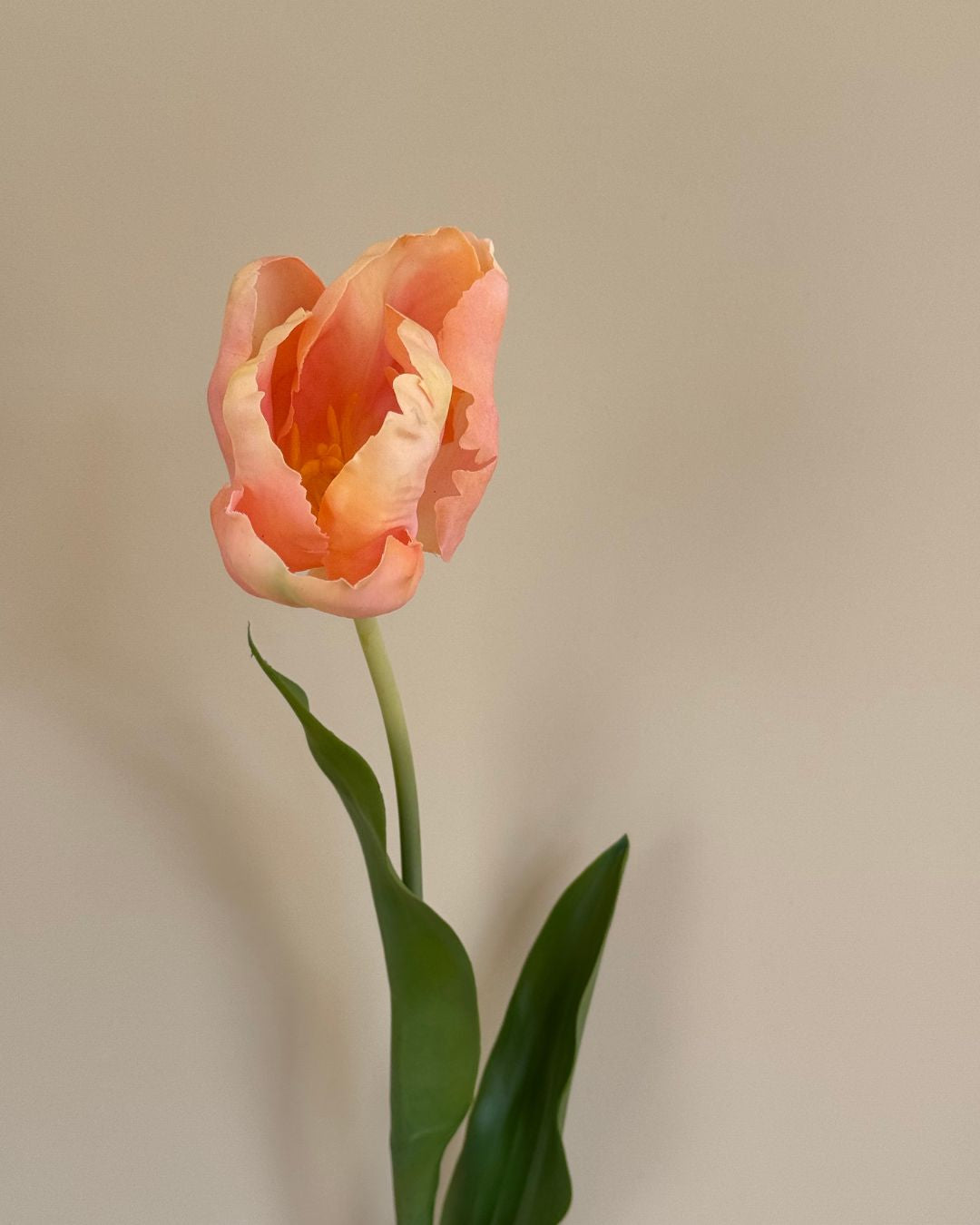 Tulipan - Pink/Peach - 72 cm