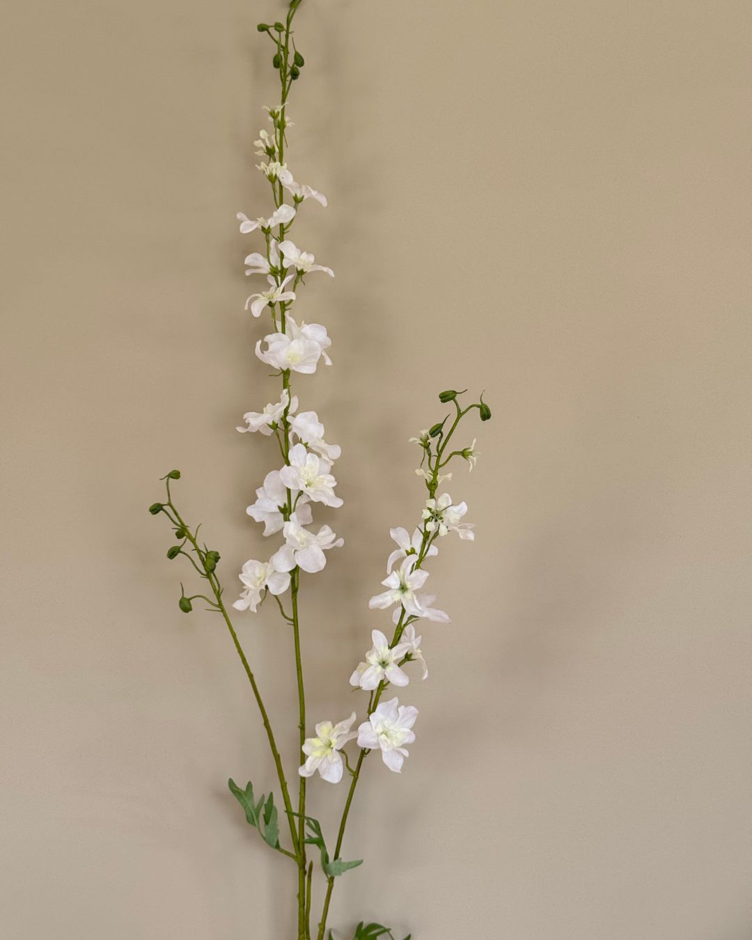 Ridderspore - Hvid - 122cm