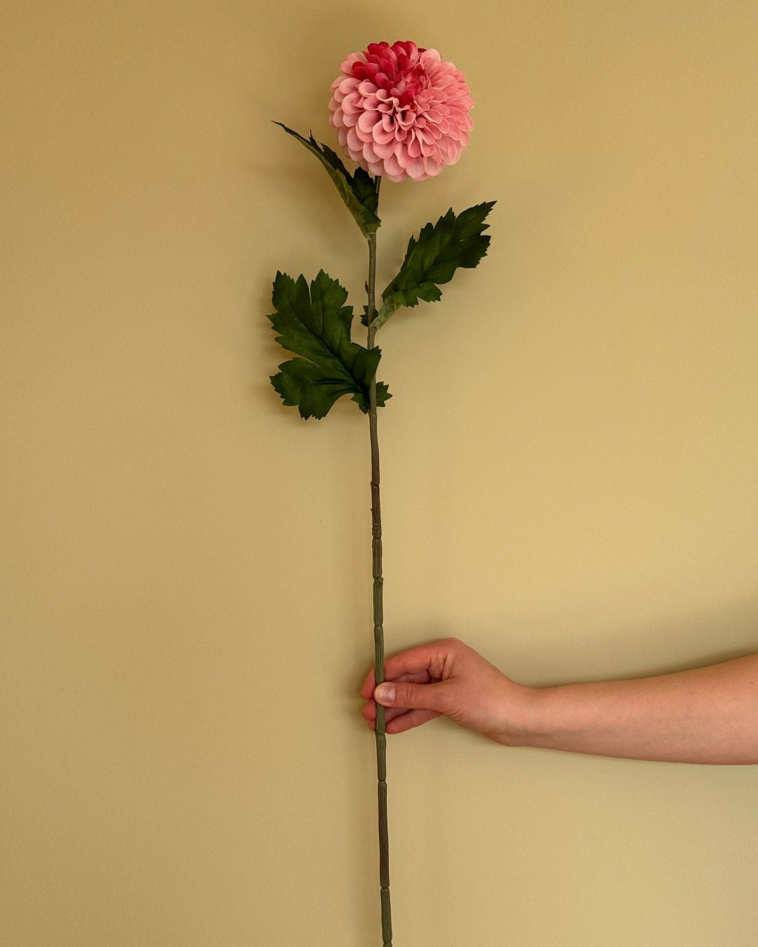 Dahlia Pink/lyserød - 75 cm