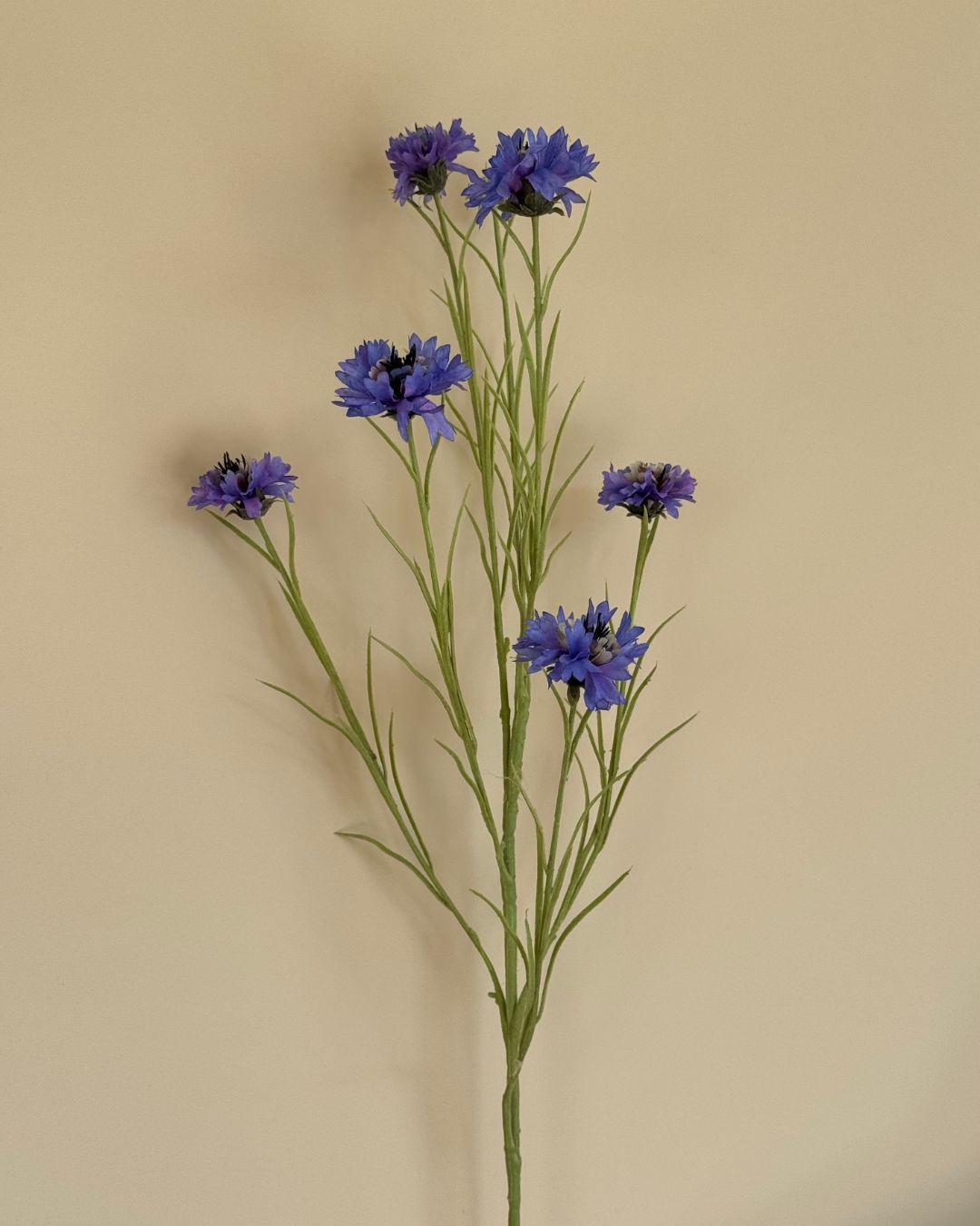 Cornflower - Blå/Lilla - 92 cm