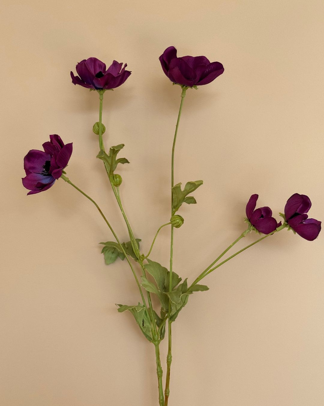 Anemone Mørk Lilla - 80 cm
