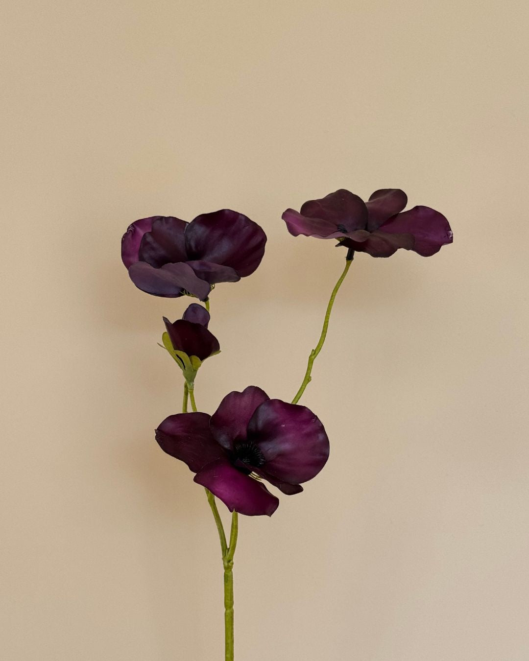 Stedmoderblomst - Lilla - 63 cm