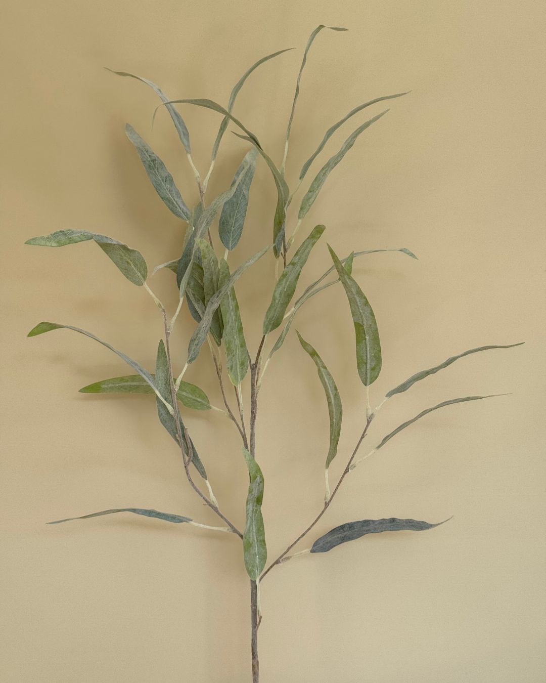 Støvet Grøn Gren - 100 cm