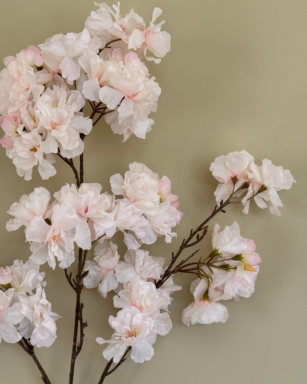 Blossom - Hvid/Lyserød - 109 cm