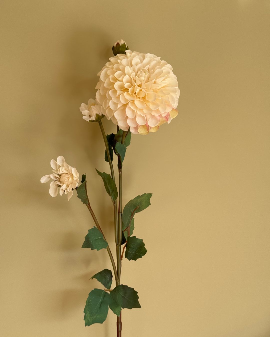 Dahlia Creme - 80 cm
