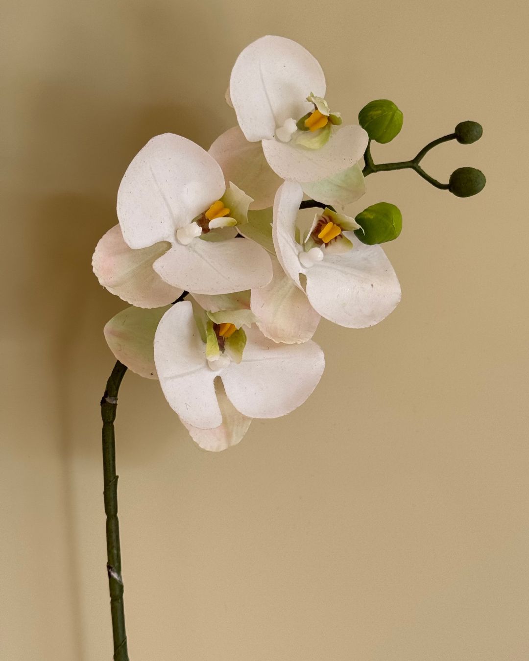 Lille Orkide Hvid - 40 cm