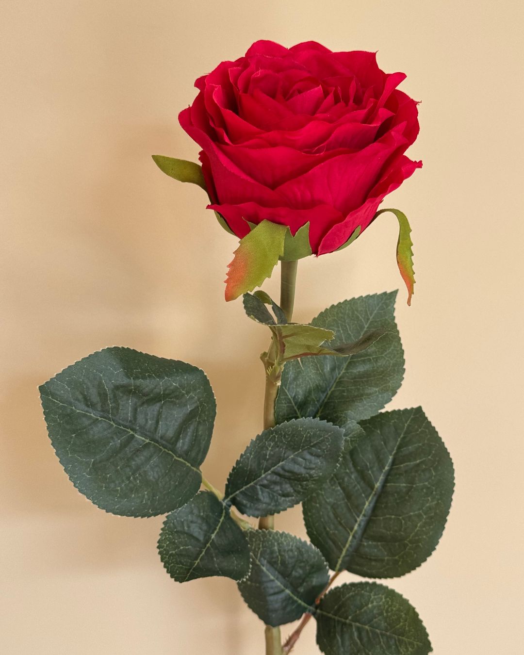 Rose Rød 70 - cm