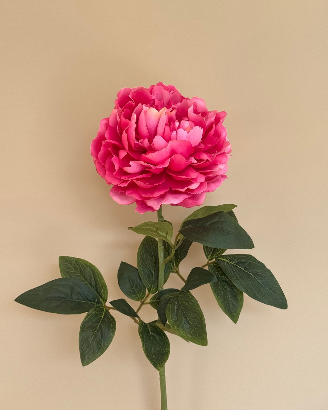 Peony Pink - 70 cm
