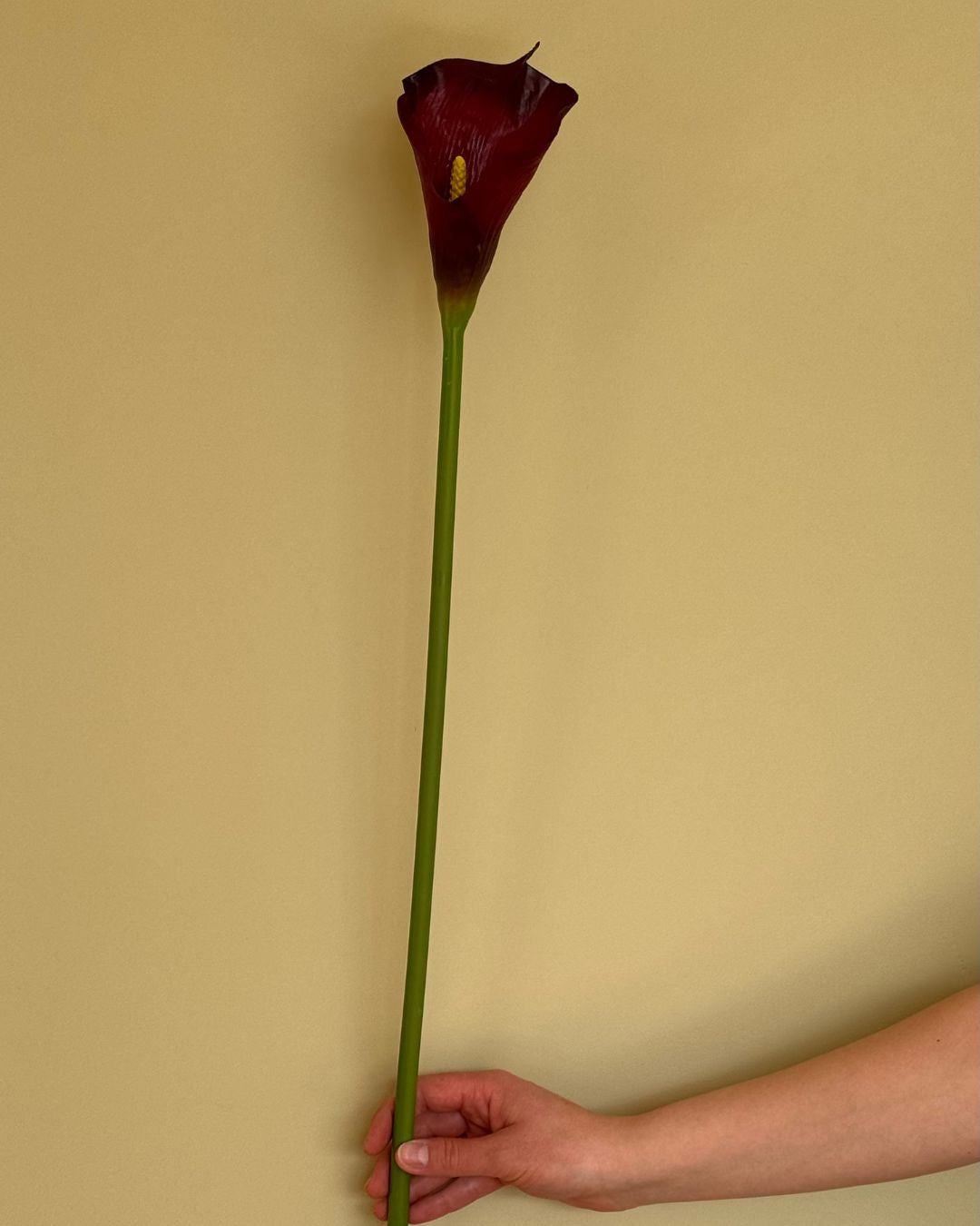 Calla Burgundy - 73 cm