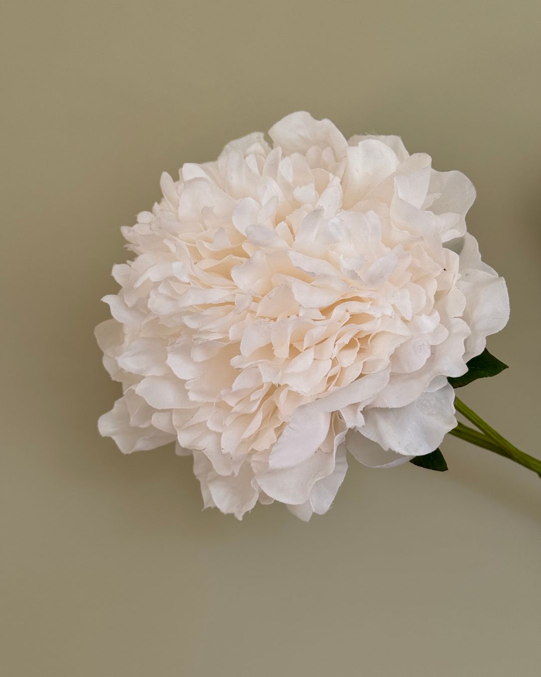 Peony - Hvid - 150 cm.