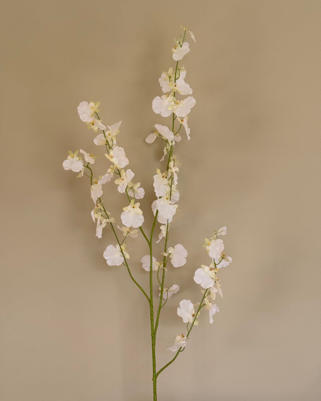 Oncidium - Hvid - 114cm