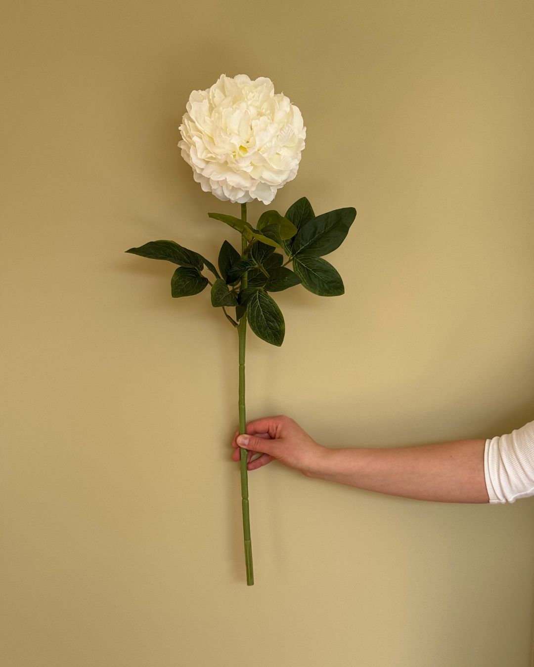 Peony Hvid - 70 cm