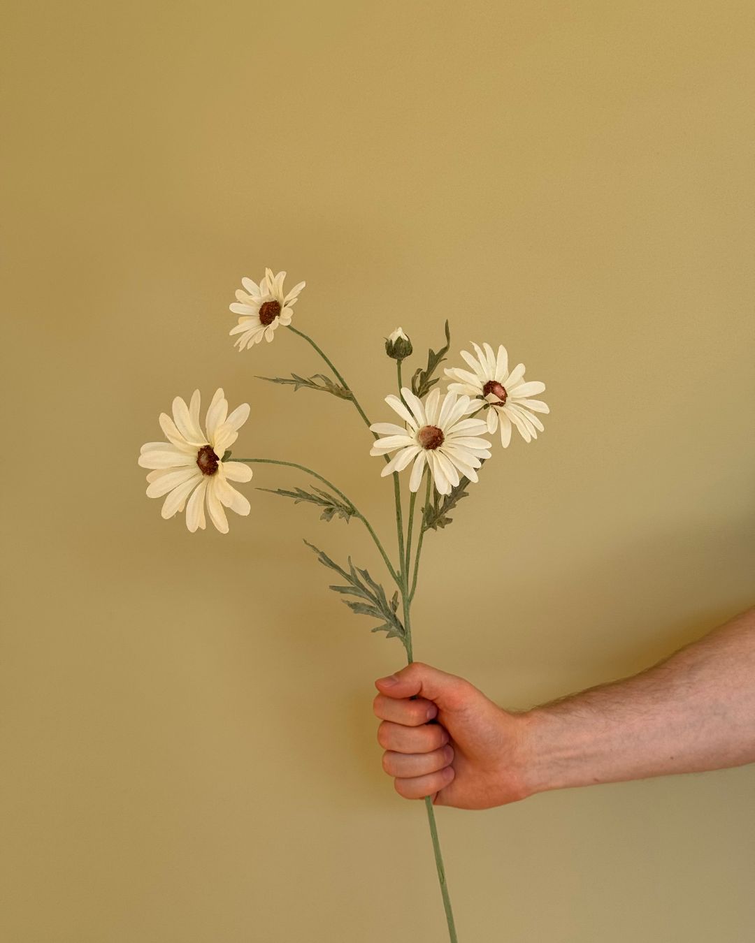 Hvid Magurit - 60 cm