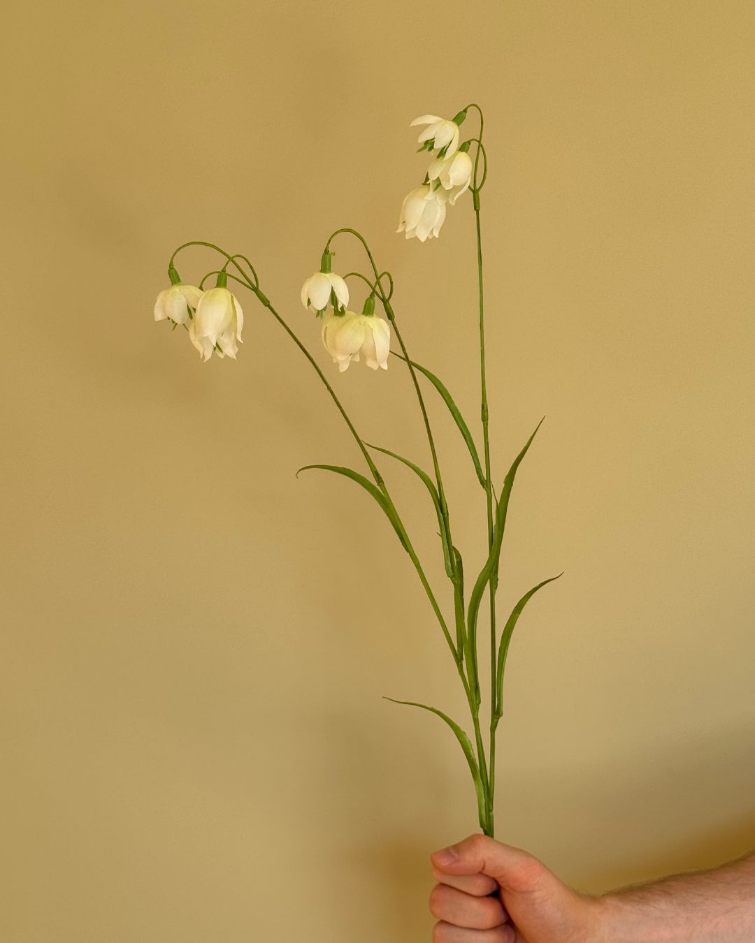 Klokkeblomst - 79 cm