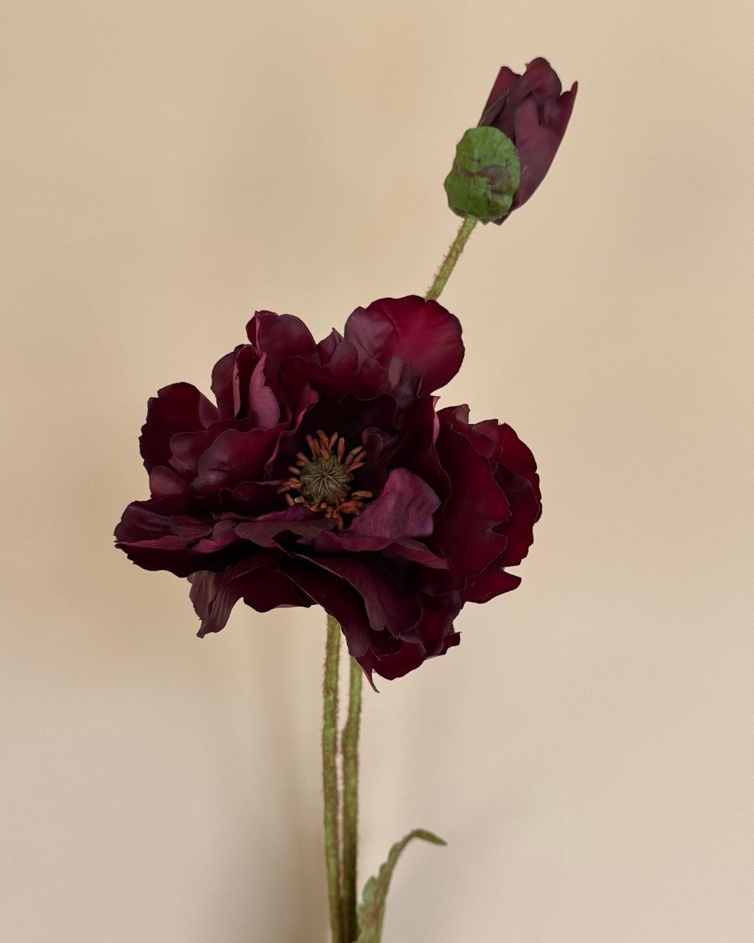 Poppy - Burgundy - 109 cm