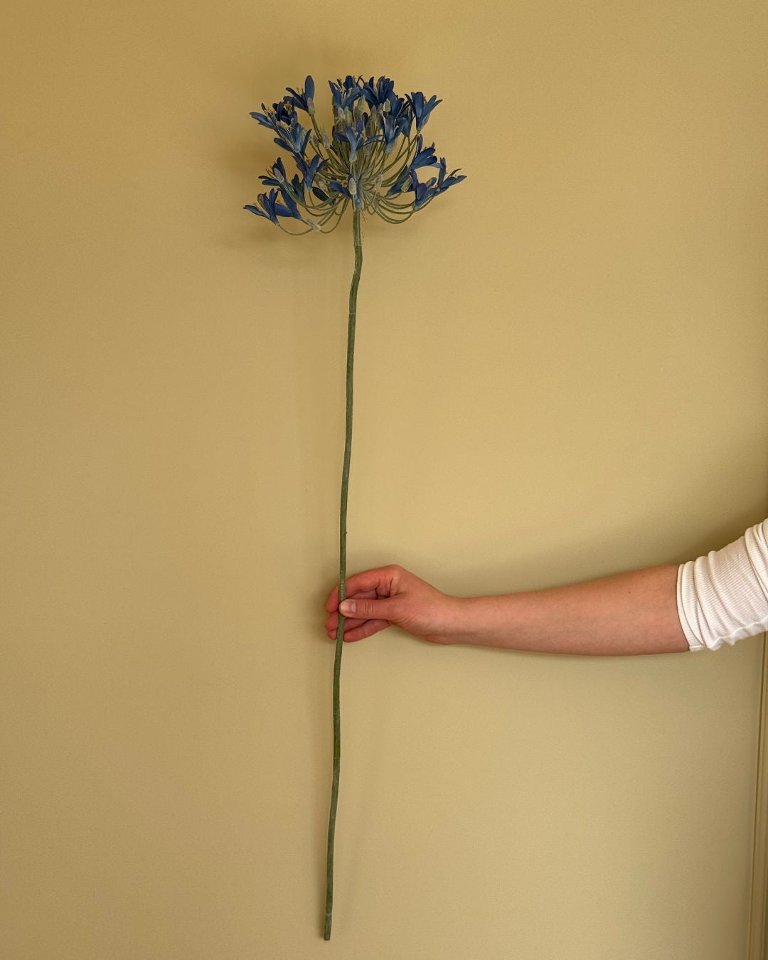 Skærmlijle Blå - 90 cm