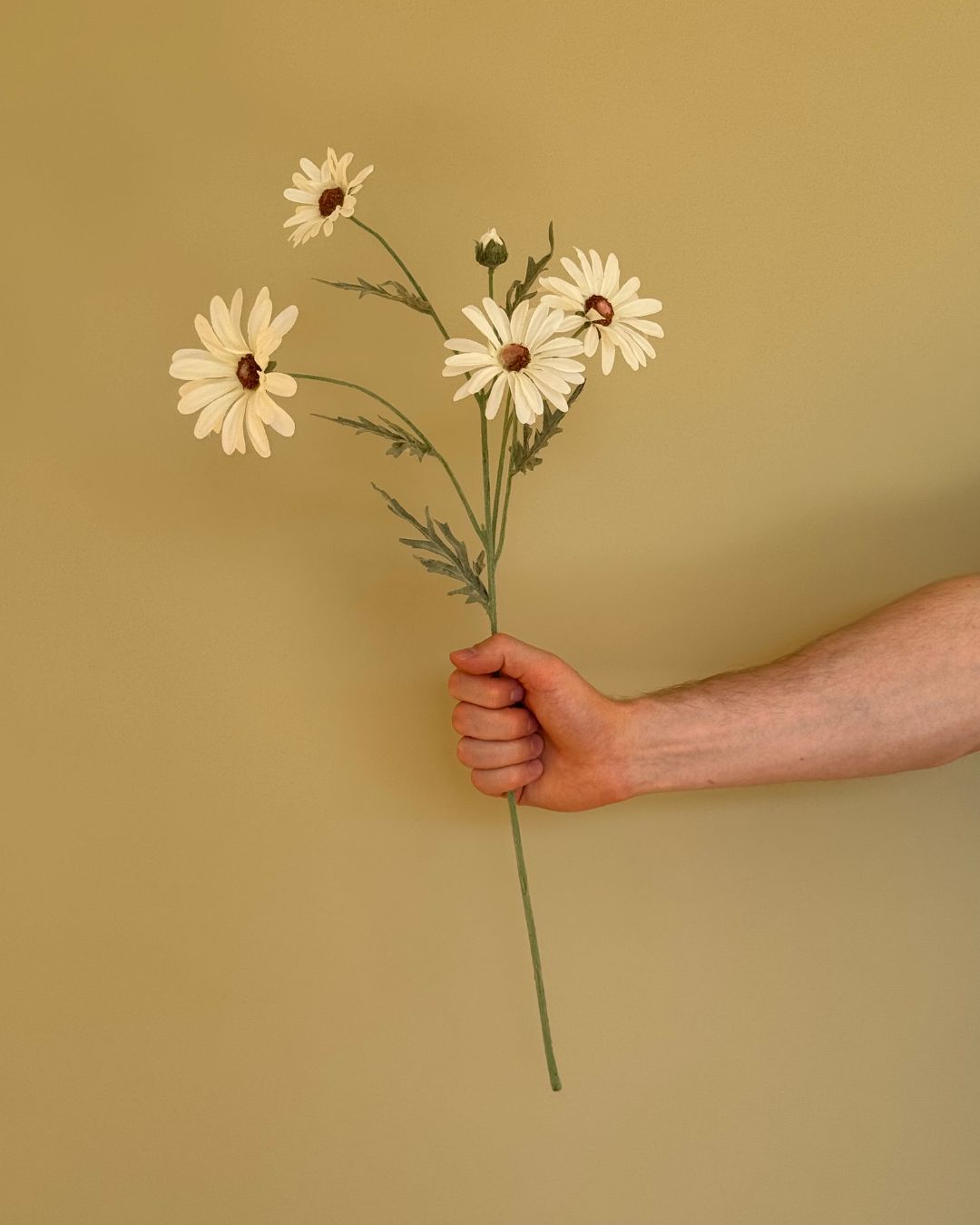 Hvid Magurit - 60 cm