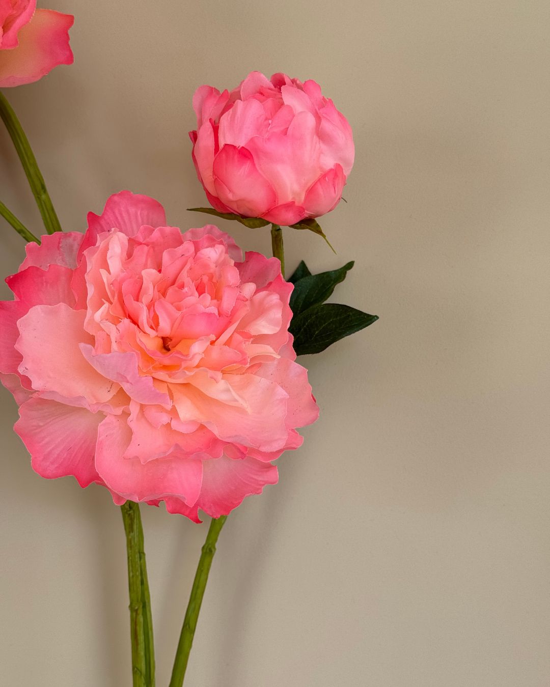 Peony - Peach/Pink - 80 cm