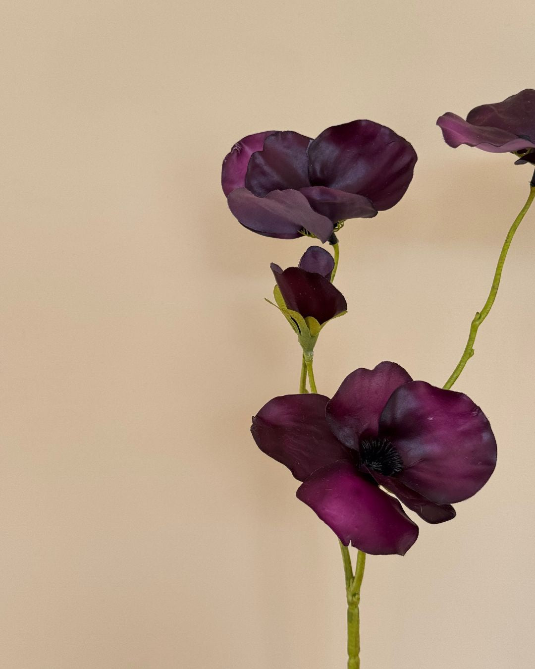 Stedmoderblomst - Lilla - 63 cm