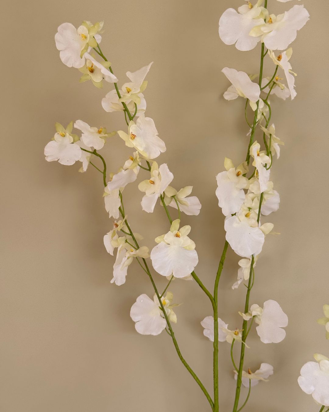Oncidium - Hvid - 114cm