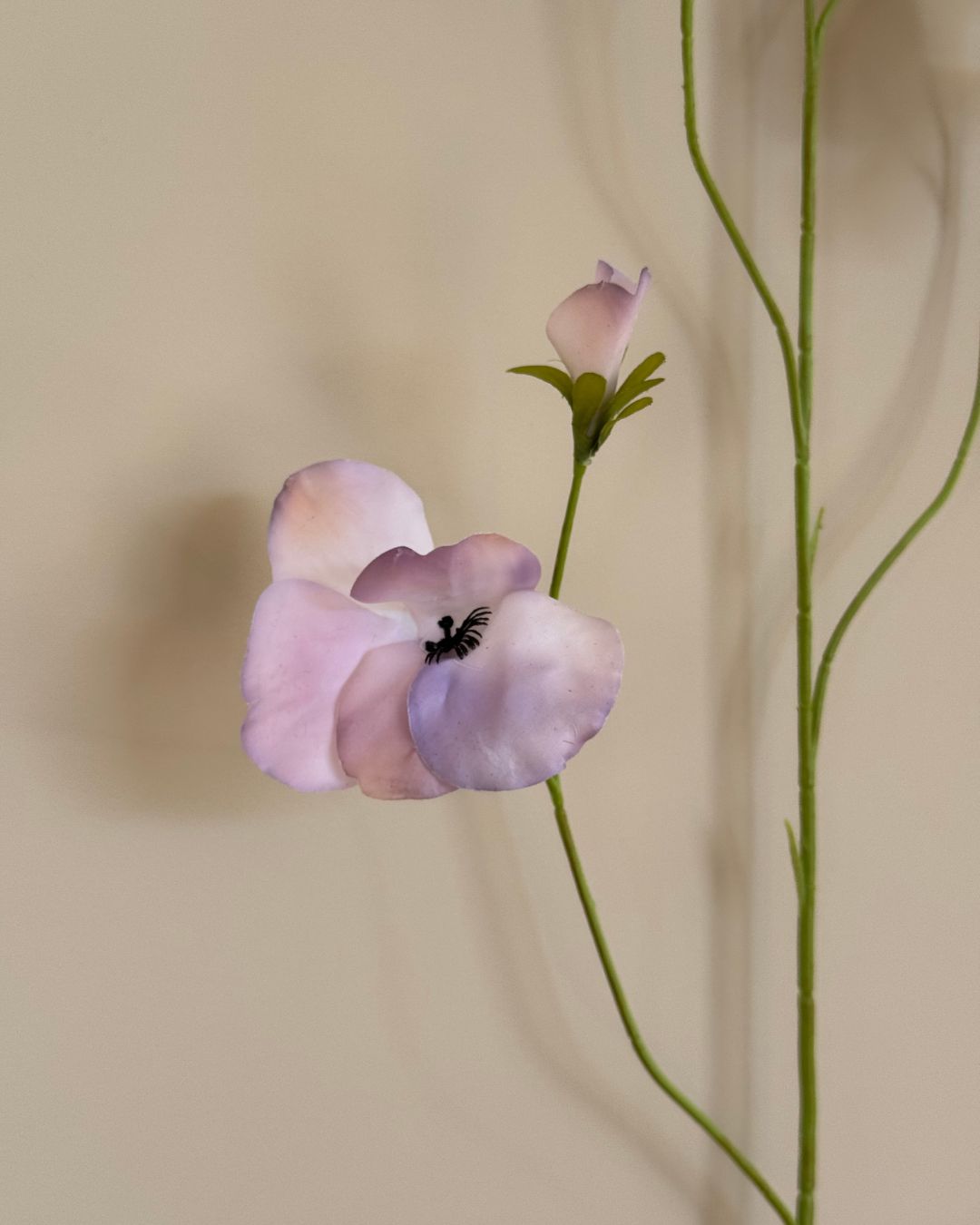 Stedmoderblomst - Lys Lilla/Blå - 103 cm