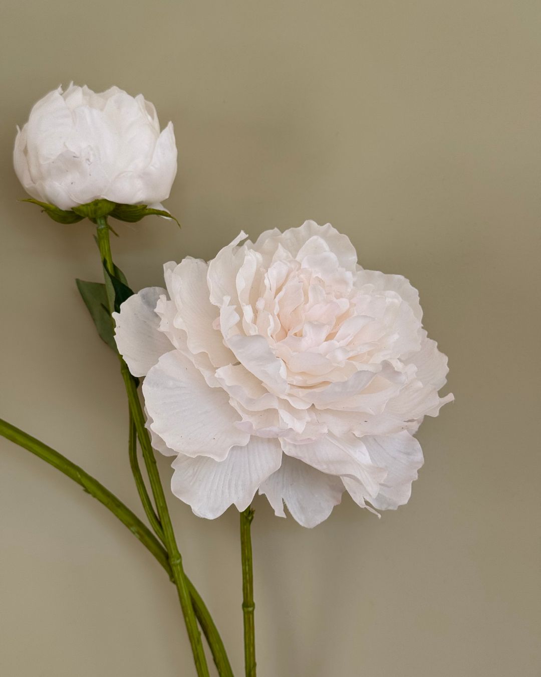 Peony - Hvid - 150 cm.